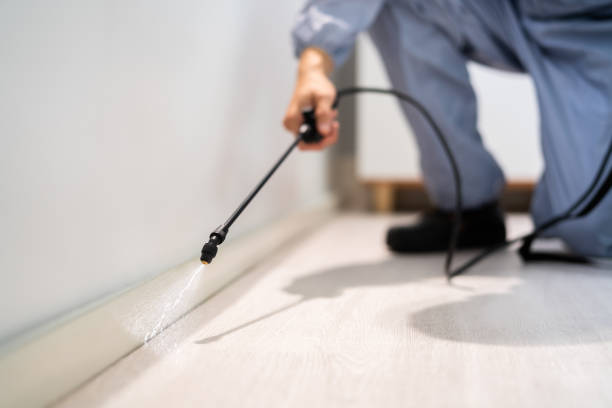 Licensed Mosquito Control service in Ithaca, NY - Show Me Pest Control