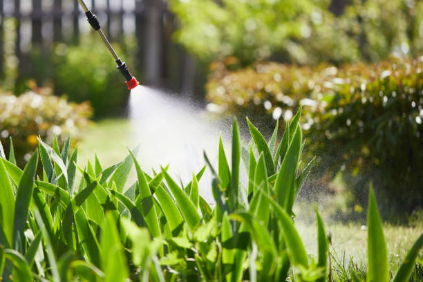 24/7 Emergency Mosquito Control experts in Ithaca, NY